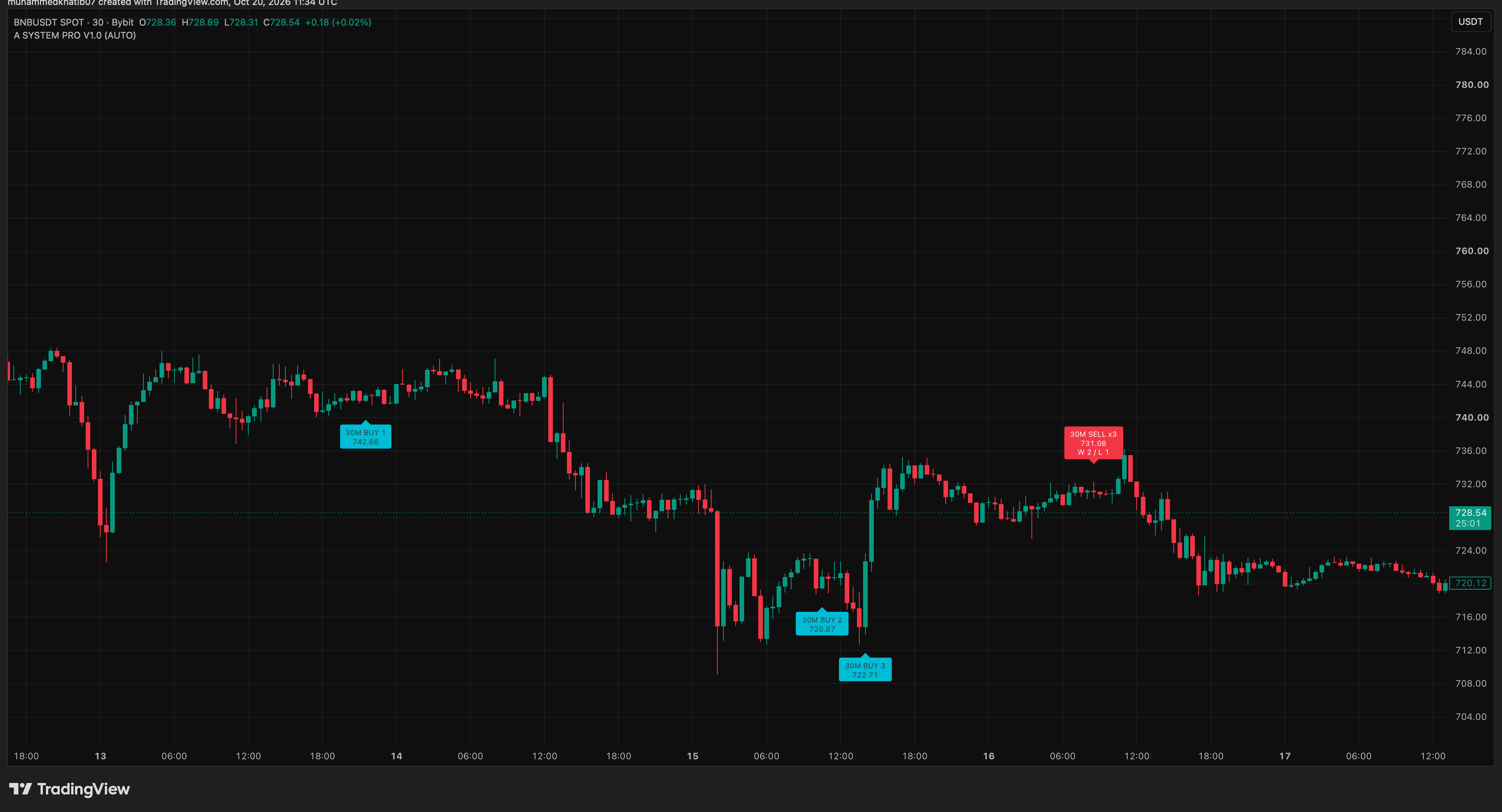 BNB chart with multiple entries and exit